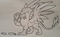 Size: 2849x1755 | Tagged: safe, artist:wingedwolf94, oc, oc only, oc:glade griffon, griffon, looking at you, monochrome, solo, traditional art