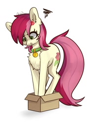 Size: 1050x1377 | Tagged: safe, artist:chibadeer, roseluck, pony, angry, behaving like a cat, box, chest fluff, collar, cute, ear fluff, fluffy, if i fits i sits, pet tag, pony in a box, pony pet, rosepet
