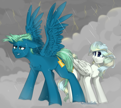 Size: 3000x2677 | Tagged: safe, artist:mediasmile666, sky stinger, vapor trail, pegasus, pony, absurd resolution, chest fluff, cloud, crying, cutie mark, duo, female, floppy ears, lightning, male, mare, protecting, rain, sidemouth, spread wings, stallion, storm, wings