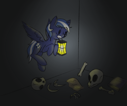 Size: 1200x1000 | Tagged: safe, artist:frecklesfanatic, oc, oc only, oc:night sky, pegasus, pony, bone, lamp, lantern, skeleton, skull