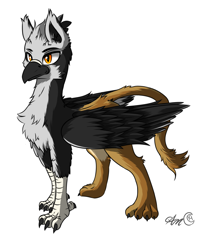 Size: 1500x1800 | Tagged: safe, artist:arjinmoon, derpibooru exclusive, oc, oc:grit the griffon, griffon, avian, beak, chest fluff, claws, cute, feline, fluffy, griffon oc, male, paws, quadrupedal, simple background, white background