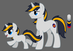 Size: 7000x4896 | Tagged: safe, artist:wingedwolf94, oc, oc only, oc:nightflame, pony, unicorn, absurd resolution, commission, foal, reference sheet, vector