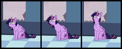 Size: 2648x1061 | Tagged: safe, artist:duop-qoub, twilight sparkle, twilight sparkle (alicorn), alicorn, pony, behaving like a cat, chest fluff, cute, descended twilight, ear fluff, female, mare, meme, missing accessory, ponified animal photo, ponified animal video, solo, twiabetes, twilight cat