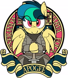 Size: 2165x2480 | Tagged: safe, artist:shinodage, oc, oc:apogee, pegasus, pony, armor, cute, emblem, eye clipping through hair, female, filly, latin, looking at you, medieval, solo, sword, weapon