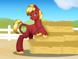 Size: 1440x1080 | Tagged: safe, artist:shelltoon, big macintosh, earth pony, pony, fence, hay bale, male, missing accessory, solo, stallion, unshorn fetlocks