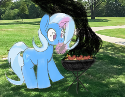 Size: 1388x1080 | Tagged: safe, anonymous artist, trixie, pony, unicorn, barbecue, female, grill, irl, levitation, magic, mare, photo, ponies in real life, solo, telekinesis