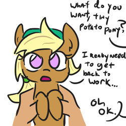 Size: 912x912 | Tagged: safe, artist:jargon scott, part of a series, part of a set, oc, oc only, oc:tater trot, human, pony, dialogue, female, holding a pony, offscreen character, simple background, what do you want, white background