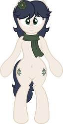 Size: 1952x3833 | Tagged: safe, artist:digiqrow, oc, oc only, oc:caliza, earth pony, pony, semi-anthro, belly button, bipedal, both cutie marks, clothes, cutie mark, flower, flower in hair, scarf, simple background, solo, transparent background, vector