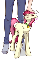 Size: 2040x3000 | Tagged: safe, artist:chibadeer, roseluck, earth pony, human, pony, :p, behaving like a cat, blushing, cheek fluff, chest fluff, clothes, collar, cute, cuteluck, cyrillic, ear fluff, eyes closed, faceless human, female, floppy ears, fluffy, head pat, heart, high res, leg fluff, mare, offscreen character, offscreen human, pants, pat, pet collar, pet tag, petting, pony pet, purring, rosepet, russian, simple background, socks, tongue out, white background