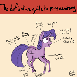 Size: 1704x1708 | Tagged: safe, artist:post-it, twilight sparkle, twilight sparkle (alicorn), alicorn, pony, anatomy, anatomy guide, colored, solo, the definitive guide to pony anatomy