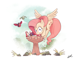 Size: 3000x2400 | Tagged: safe, artist:docwario, fluttershy, bird, pegasus, pony, behaving like a bird, bird bath, caught, drinking, female, flying, looking at you, mare, solo, spread wings, tongue out