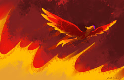 Size: 1400x900 | Tagged: safe, artist:docwario, philomena, phoenix, fire, flying, solo