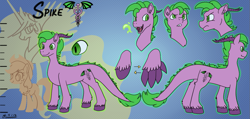 Size: 1047x500 | Tagged: safe, artist:goat train, applejack, princess celestia, spike, alicorn, dracony, dragon, earth pony, hybrid, pony, claws, cutie mark, dragonified, fire, frown, green fire, open mouth, race swap, reference sheet, smiling, species swap, spread wings, wings