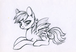 Size: 800x555 | Tagged: safe, artist:maytee, rainbow dash, pegasus, pony, female, grayscale, looking at you, mare, monochrome, pencil drawing, prone, simple background, solo, traditional art, white background