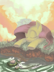 Size: 1200x1600 | Tagged: safe, artist:docwario, angel bunny, fluttershy, pegasus, pony, rabbit, animal, duo, eyes closed, female, lilypad, mare, outdoors, pond, prone, river, sitting on head, sleeping, three quarter view, water