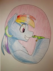 Size: 2448x3272 | Tagged: safe, artist:goat train, rainbow dash, frog, pegasus, pony, boop, bust, chest fluff, commission, cute, grin, hoof hold, noseboop, smiling, traditional art