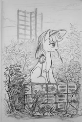 Size: 800x1194 | Tagged: safe, artist:maytee, applejack, earth pony, pony, bandaid, blank flank, female, filly, grayscale, hat, monochrome, pencil drawing, solo, straw, straw in mouth, traditional art, younger