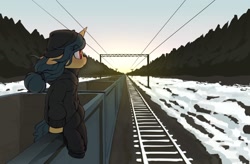 Size: 1998x1313 | Tagged: safe, artist:shinodage, fresh coat, pony, unicorn, beanie, cart, clothes, female, floppy ears, freighthopping, hat, hoodie, mare, pants, profile, railroad, sitting, snow, solo, train, winter