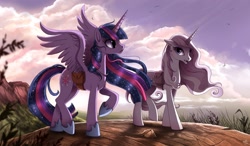 Size: 1295x756 | Tagged: safe, artist:ruhje, fleur-de-lis, twilight sparkle, twilight sparkle (alicorn), alicorn, pony, unicorn, fanfic:myths and birthrights, cloud, cloudy, cutie mark, duo, fanfic, fanfic art, female, hoof shoes, horn, jewelry, mare, necklace, raised hoof, saddle bag, spread wings, ultimate twilight, wings