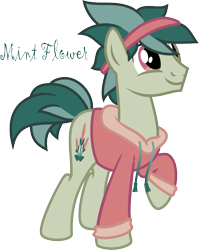 Size: 784x986 | Tagged: safe, artist:pony-paint, oc, oc only, earth pony, pony, clothes, hoodie, male, raised hoof, show accurate, simple background, solo, stallion, transparent background