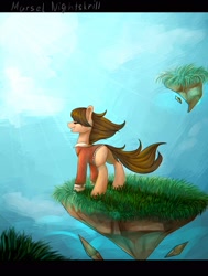 Size: 1552x2048 | Tagged: safe, artist:nightskrill, oc, oc only, earth pony, pony, clothes, eyes closed, female, floating island, grin, mare, plot, smiling, solo, windswept mane