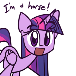 Size: 1280x1280 | Tagged: safe, artist:lilboulder, twilight sparkle, twilight sparkle (alicorn), alicorn, horse, pony, :d, captain obvious, cute, dialogue, eye clipping through hair, female, horn, i am a horse, looking at you, mare, open mouth, simple background, solo, truth, twiabetes, white background, wings