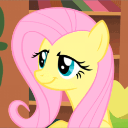 Size: 361x361 | Tagged: safe, edit, edited screencap, screencap, fluttershy, pegasus, pony, a bird in the hoof, always works, animated, artifact, bad poker face, book, bookcase, bookshelf, breaking the fourth wall, cropped, cute, dialogue, dreamworks face, exclamation point, faic, female, gif, grin, image macro, looking at you, mare, meme, raised eyebrow, second image macro on derpibooru, shyabetes, smiling, smirk, solo, surprised, talking, text