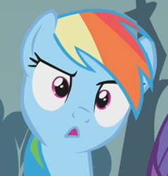 Size: 244x255 | Tagged: safe, screencap, rainbow dash, pegasus, pony, swarm of the century, :o, confused, cropped, cute, dashabetes, female, mare, open mouth, raised eyebrow, reaction image, solo, stare