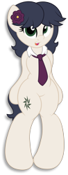 Size: 2267x5775 | Tagged: safe, artist:digiqrow, oc, oc only, oc:caliza, earth pony, pony, semi-anthro, flower, flower in hair, necktie, simple background, transparent background