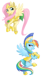 Size: 1500x2750 | Tagged: safe, artist:equestria-prevails, fluttershy, rainbow dash, pegasus, pony, armor, duo, duo female, female, guardsmare, helmet, mare, royal guard armor, simple background, stars, transparent background, wings, wip