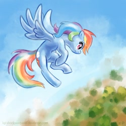 Size: 1000x1000 | Tagged: safe, artist:kp-shadowsquirrel, rainbow dash, pegasus, pony, female, flying, mare, sky, solo, spread wings, wings