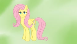 Size: 848x480 | Tagged: safe, artist:ch33zus, fluttershy, pegasus, pony, female, gradient background, looking at you, mare, paint tool sai, solo