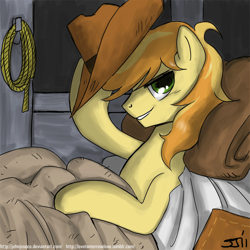Size: 900x899 | Tagged: safe, artist:johnjoseco, braeburn, earth pony, pony, adobe imageready, hat, lasso, looking at you, male, morning ponies, pillow, rope, smiling, solo, stallion