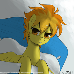 Size: 900x900 | Tagged: safe, artist:johnjoseco, spitfire, pegasus, pony, adobe imageready, bed, female, looking at you, mare, messy mane, morning ponies, on back, pillow, solo, spread wings, wings