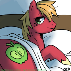 Size: 900x900 | Tagged: safe, artist:johnjoseco, big macintosh, earth pony, pony, adobe imageready, bed, looking at you, male, missing accessory, morning ponies, pillow, solo, stallion