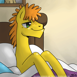 Size: 900x900 | Tagged: safe, artist:johnjoseco, carrot cake, earth pony, pony, adobe imageready, male, morning ponies, pillow, solo, stallion
