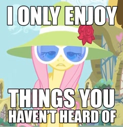 Size: 500x517 | Tagged: safe, edit, edited screencap, screencap, fluttershy, pegasus, pony, green isn't your color, female, glasses, hat, hilarious in hindsight, hipster, hipstershy, image macro, mare, meme, solo, text