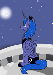 Size: 672x958 | Tagged: safe, artist:jargon scott, prince artemis, princess luna, alicorn, pony, balcony, cheek fluff, folded wings, male, moon, night, rule 63, sitting, sky, solo, stallion, stars, winter solstice