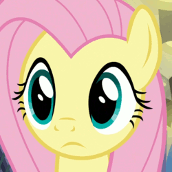 Size: 780x780 | Tagged: safe, edit, edited screencap, editor:seiken, screencap, fluttershy, pegasus, pony, fake it 'til you make it, animated, cropped, cute, gif, reaction image, shyabetes, solo, wow