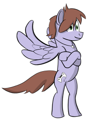 Size: 1816x2364 | Tagged: safe, artist:seikenryu, derpibooru exclusive, oc, oc only, oc:poniton, pegasus, pony, bipedal, jewelry, necklace, simple background, transparent background