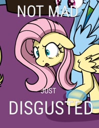 Size: 720x932 | Tagged: safe, artist:skitter, edit, fluttershy, rainbow dash, pegasus, pony, disgusted, female, mare, meme