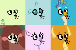 Size: 600x400 | Tagged: safe, artist:jargon scott, gallus, ocellus, sandbar, silverstream, smolder, yona, changedling, changeling, classical hippogriff, dragon, earth pony, griffon, hippogriff, pony, yak, school daze, season 8, :p, cute, cutie mark, diaocelles, diastreamies, dragoness, face, female, floppy ears, gallabetes, lidded eyes, male, raspberry, sandabetes, silly, smiling, smolderbetes, stallion, student six, tongue out, yonadorable