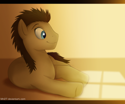 Size: 900x751 | Tagged: dead source, safe, artist:mn27, doctor whooves, earth pony, pony, happy, male, on side, solo, stallion