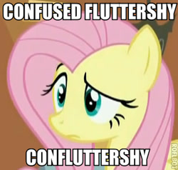 Size: 341x324 | Tagged: safe, edit, edited screencap, screencap, fluttershy, pegasus, pony, stare master, artifact, confluttershy, confused, female, image macro, mare, portmanteau, reaction image, roflbot, solo