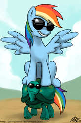 Size: 800x1210 | Tagged: safe, artist:johnjoseco, rainbow dash, tank, pegasus, pony, tortoise, adobe imageready, duo, female, mare, riding, sunglasses, too cool for school