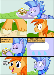 Size: 800x1100 | Tagged: safe, artist:shelltoon, oc, oc only, oc:nimbostratus, altostratus, comic