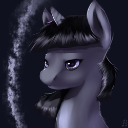 Size: 1024x1024 | Tagged: safe, artist:imsokyo, twilight sparkle, pony, bust, monochrome, portrait, solo