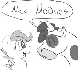 Size: 900x900 | Tagged: safe, artist:crade, daisy jo, scootaloo, cow, sleepless in ponyville, pun, sketch