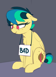 Size: 883x1208 | Tagged: safe, artist:shinodage, oc, oc only, oc:apogee, pegasus, pony, bad pony, female, filly, freckles, pony shaming, sign, solo