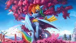 Size: 1920x1080 | Tagged: safe, artist:discordthege, rainbow dash, pegasus, pony, backwards cutie mark, beautiful, building, cherry blossoms, clothes, cloud, detailed, featured image, female, flower, flower blossom, flower petals, japan, looking at you, mare, petals, scarf, scenery, scenery porn, sky, smiling, solo, tree, wallpaper